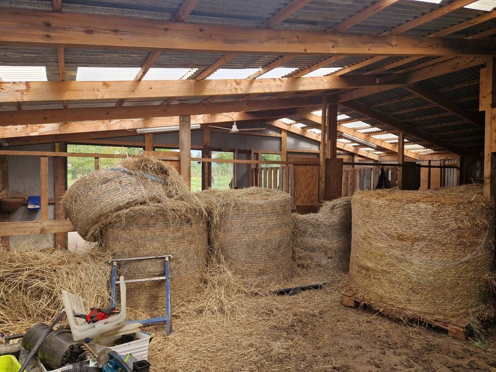 Propiedad ecuestre En venta Luxemburgo be