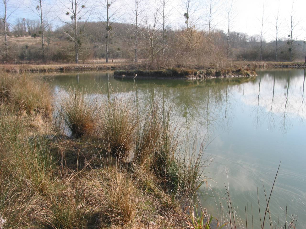 Bonita residencia ecuestre En venta Charente