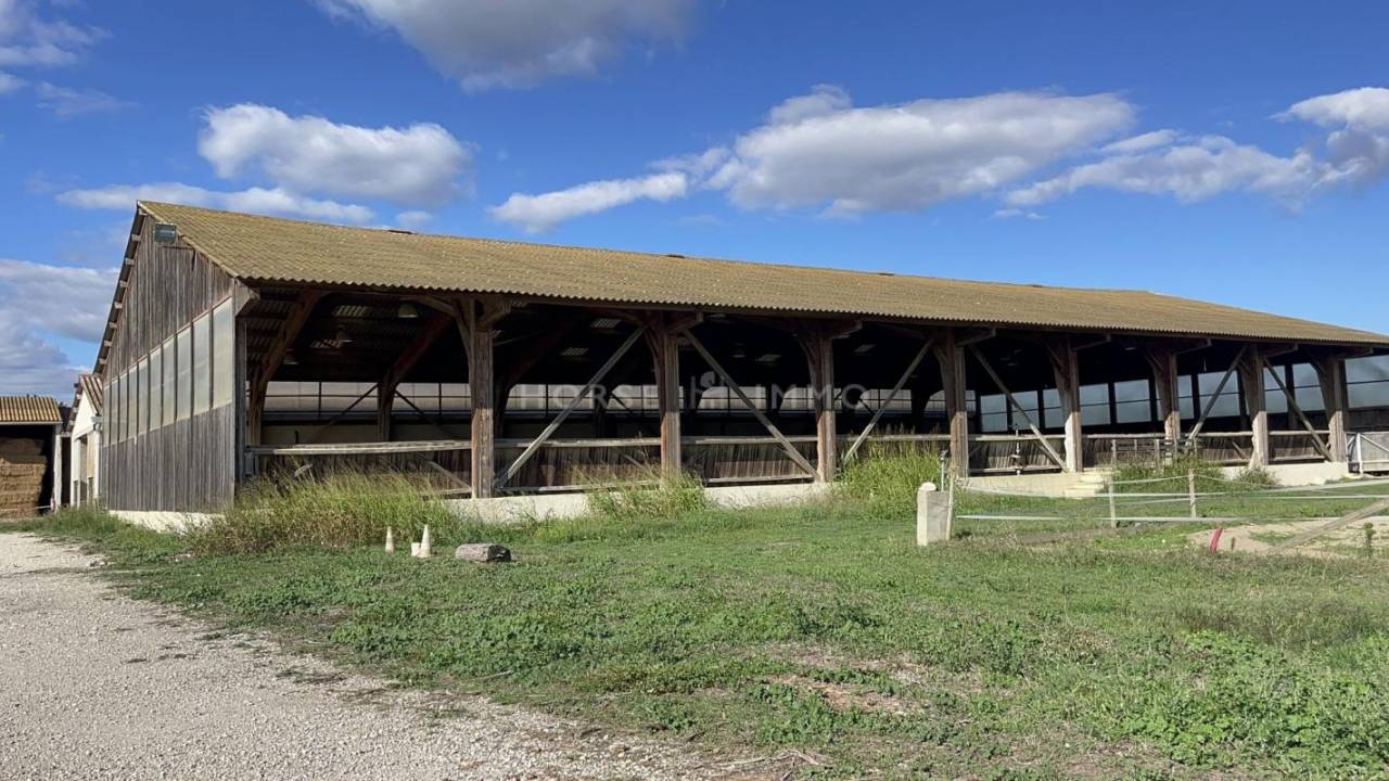 Propiedad ecuestre En venta Gard