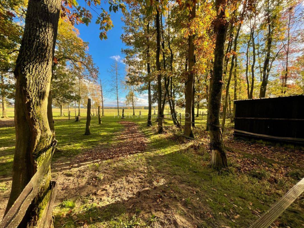 Propiedad ecuestre En venta Yvelines