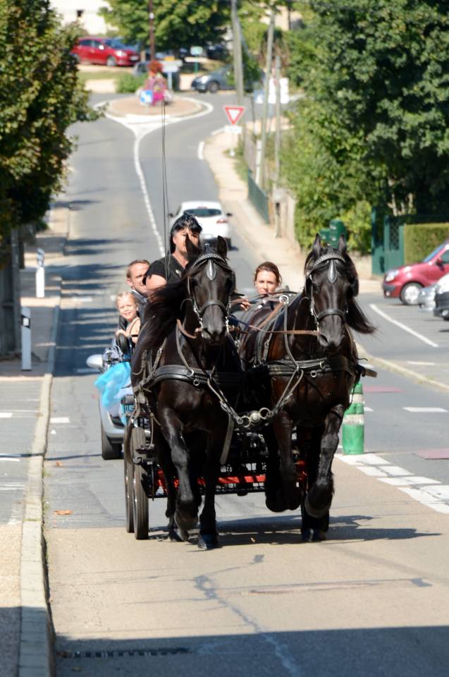 Coche enganches - Calesa - Otra marca -  