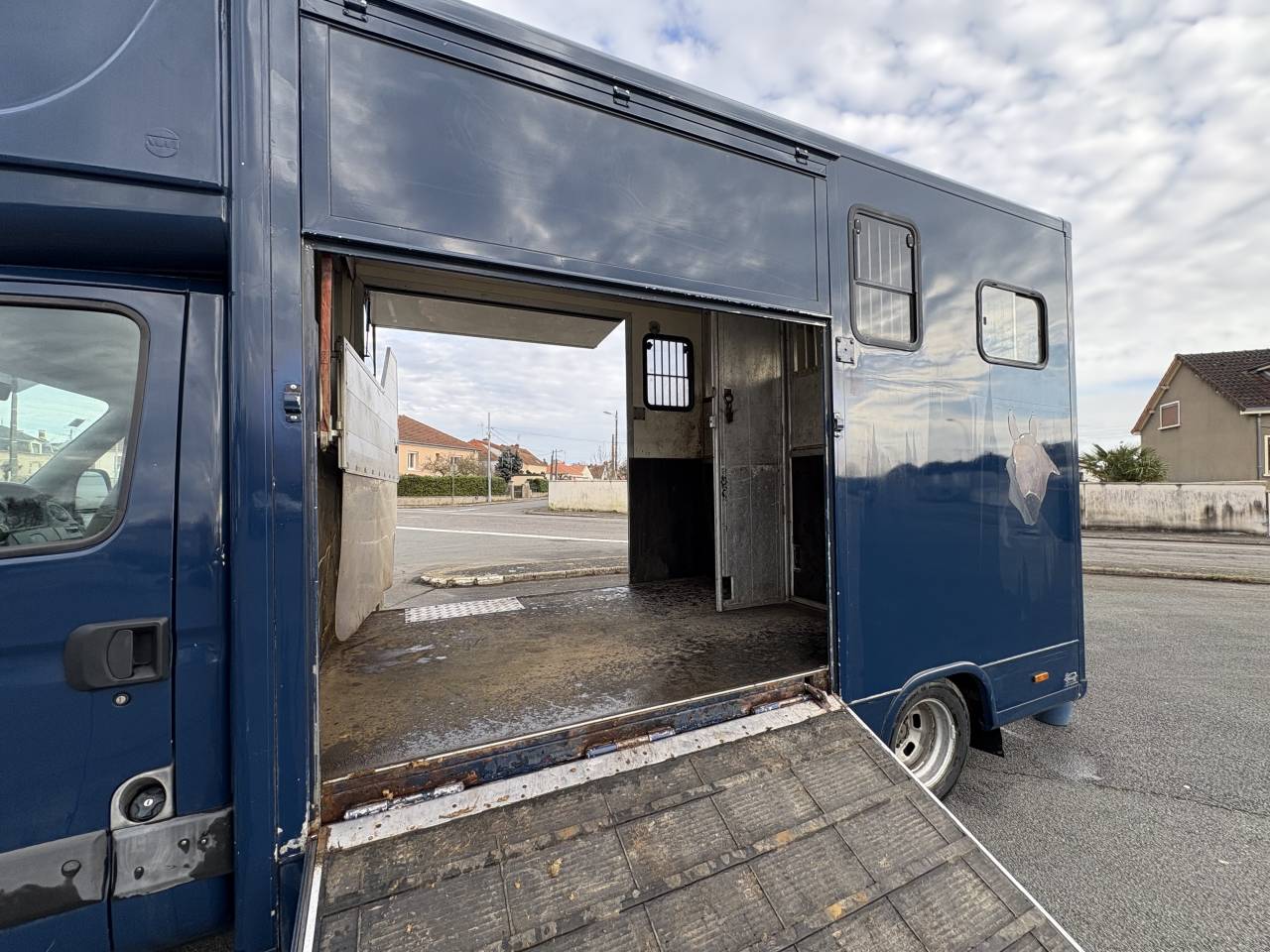 Furgoneta para caballos Iveco Daily  2009 De segunda mano
