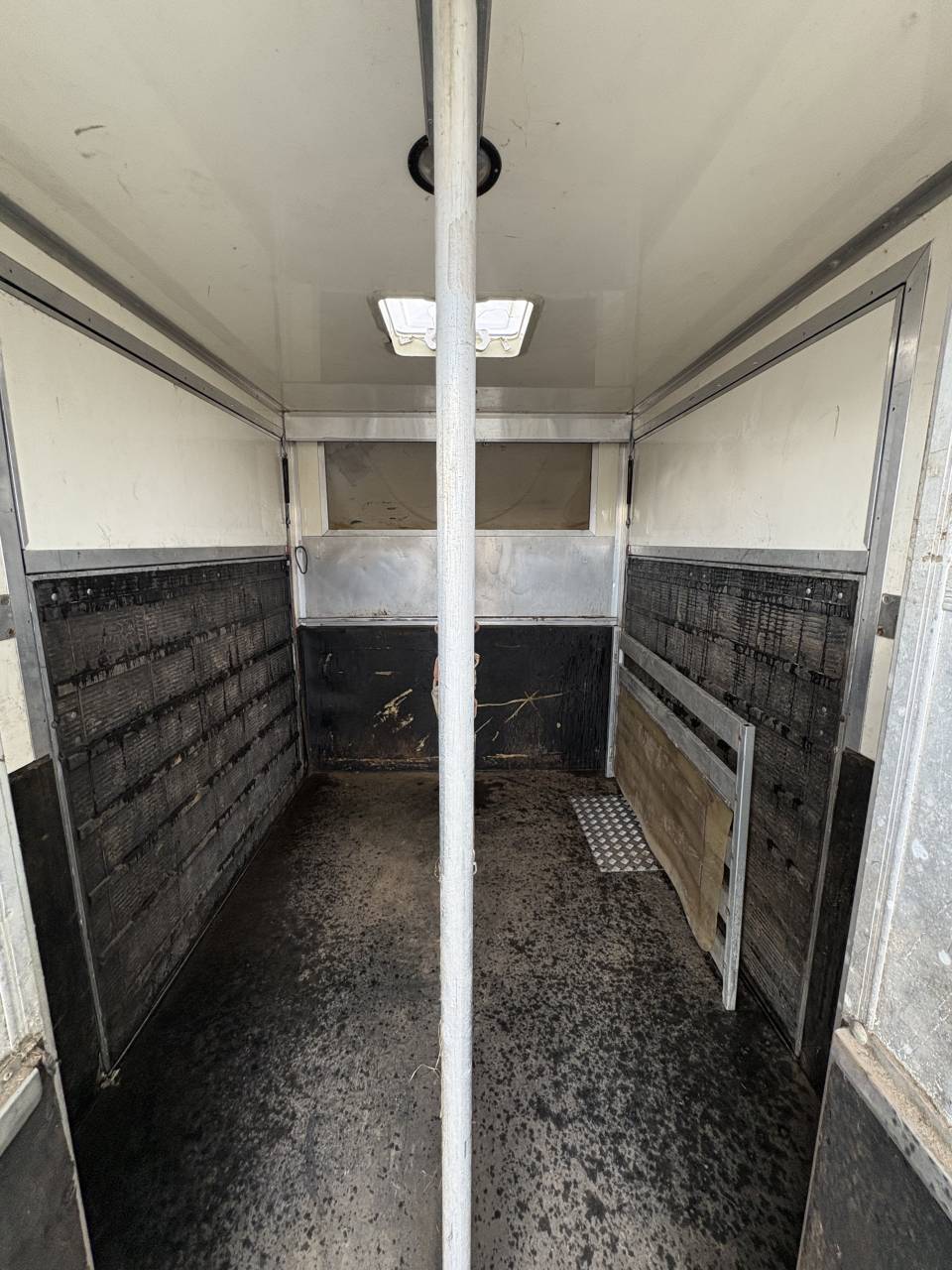 Furgoneta para caballos Iveco Daily  2009 De segunda mano