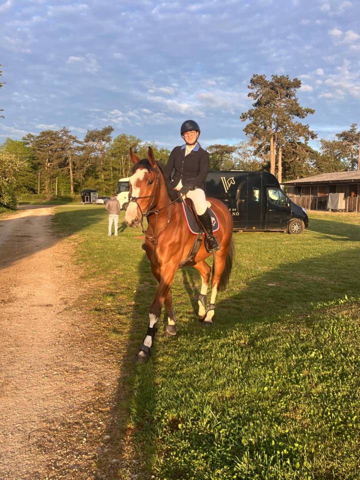 Caballo castrado Silla Franc&eacute;s En venta 2022 Bayo por Chacgrano &ndash; DEU