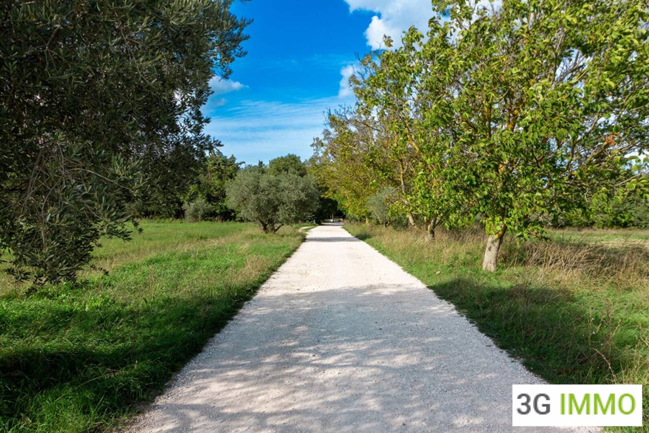 Propiedad rural En venta Bocas del R&oacute;dano