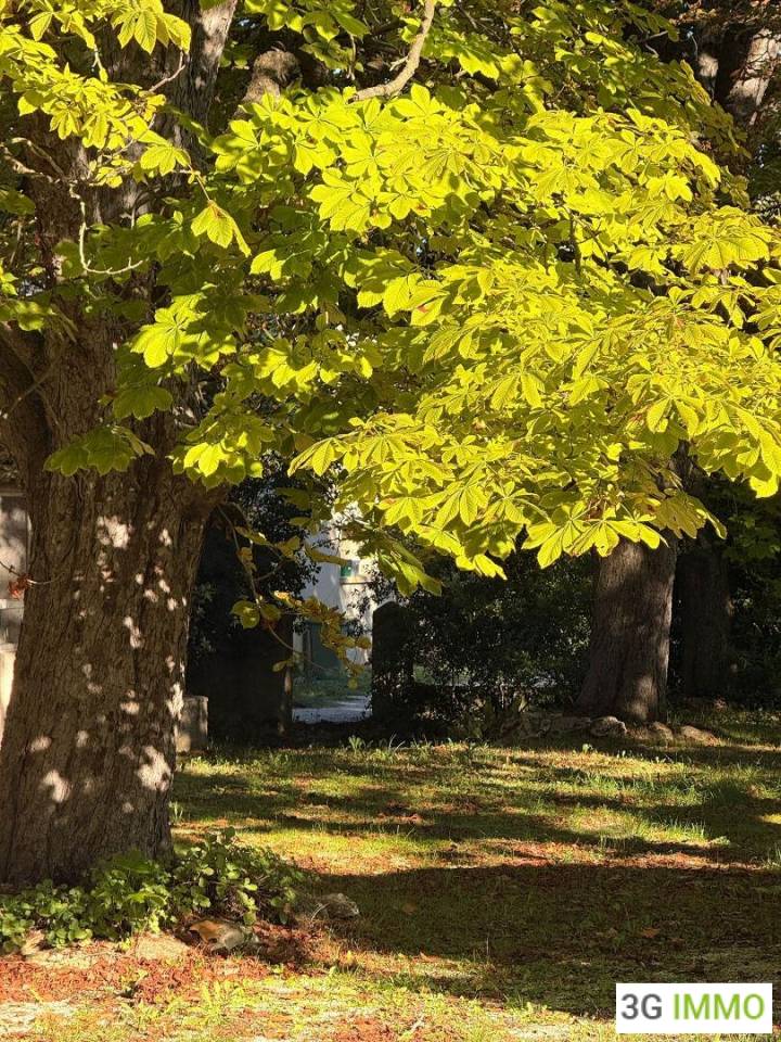 Propiedad rural En venta Bocas del R&oacute;dano