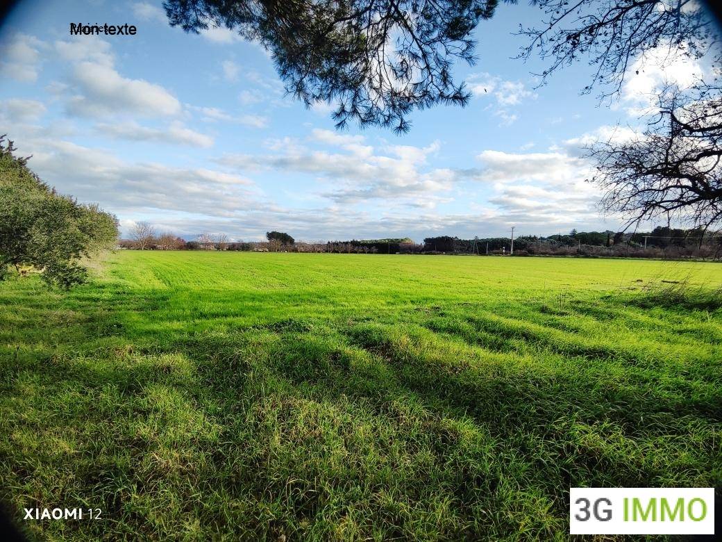 Propiedad rural En venta Bocas del R&oacute;dano