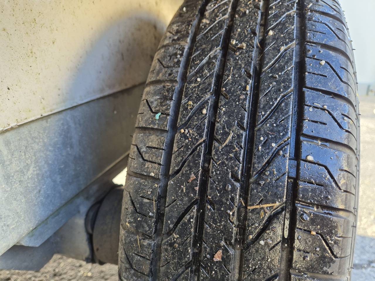 Van caballos Fautras JMS Cassic 1,5 Caballos 2022 De segunda mano