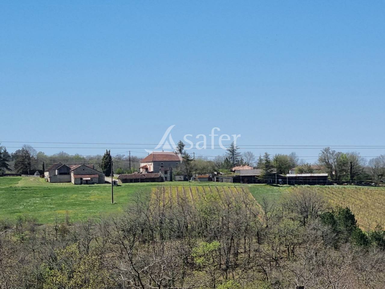 Explotaci&oacute;n vit&iacute;cola / Vi&ntilde;edo En venta Lot