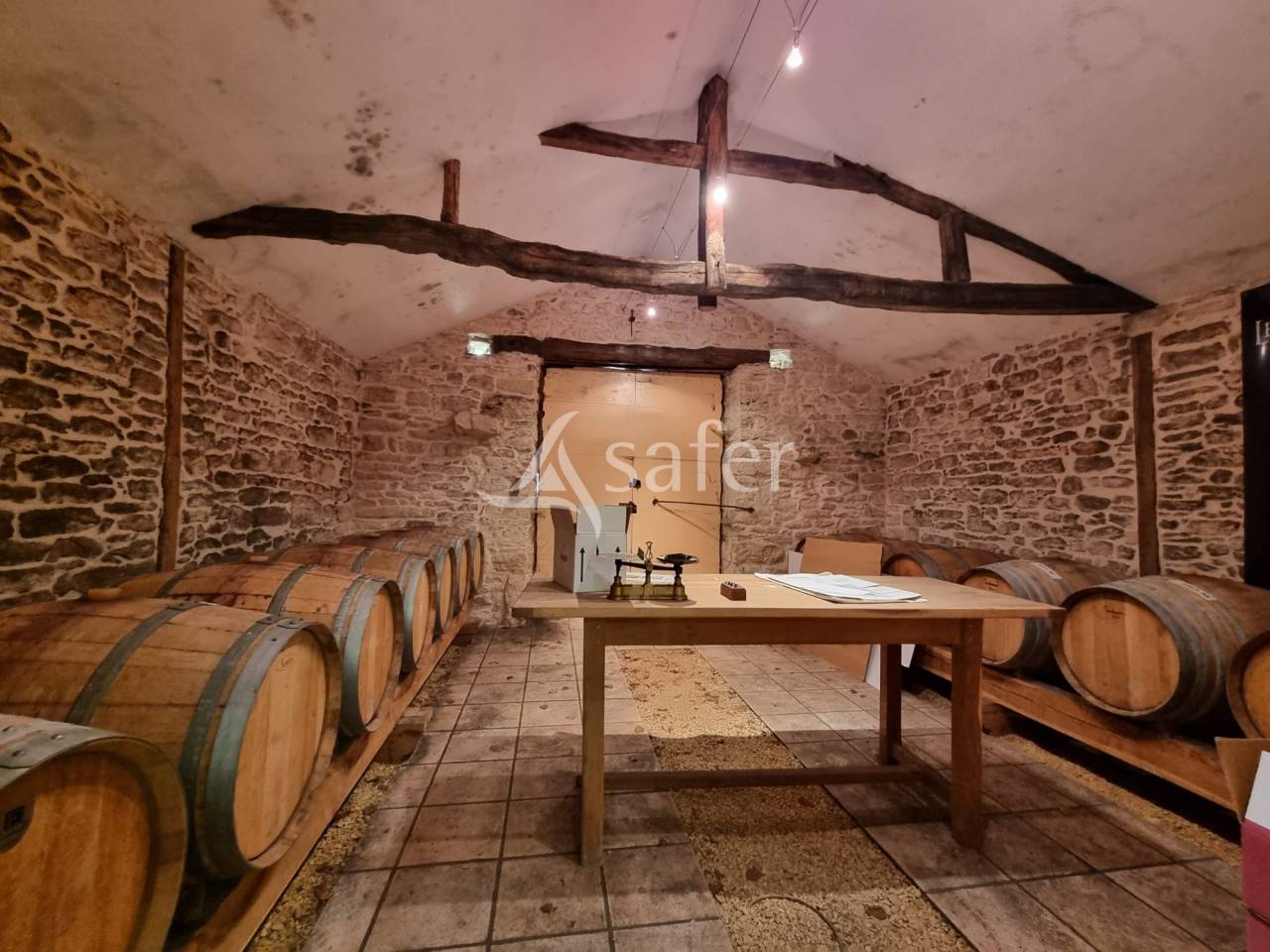 Explotaci&oacute;n vit&iacute;cola / Vi&ntilde;edo En venta Lot