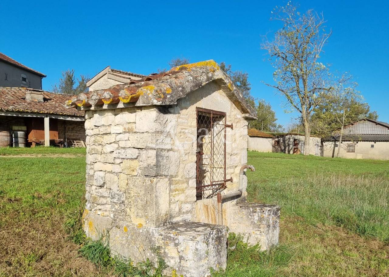 Explotaci&oacute;n vit&iacute;cola / Vi&ntilde;edo En venta Lot