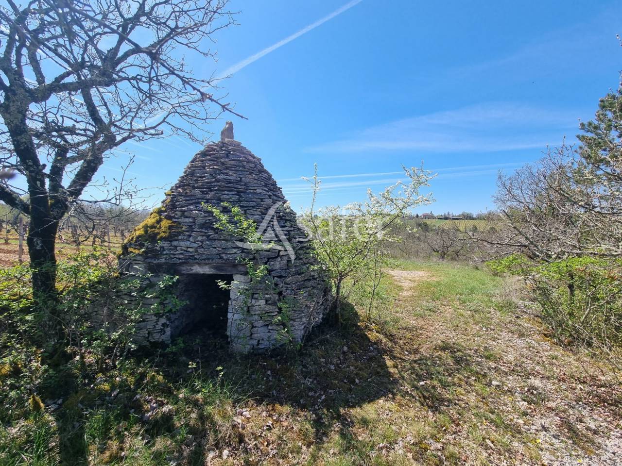 Explotaci&oacute;n vit&iacute;cola / Vi&ntilde;edo En venta Lot