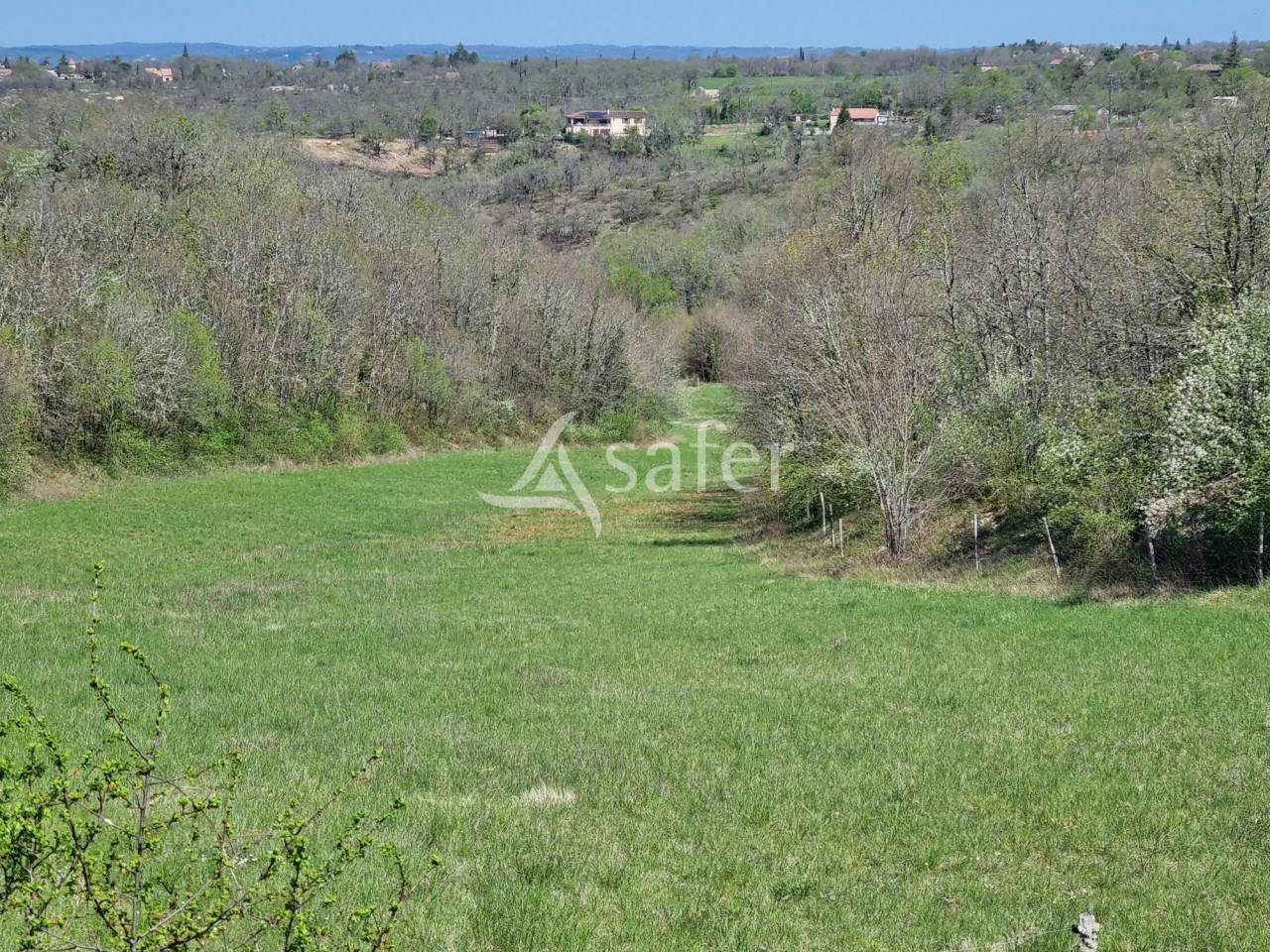 Explotaci&oacute;n vit&iacute;cola / Vi&ntilde;edo En venta Lot