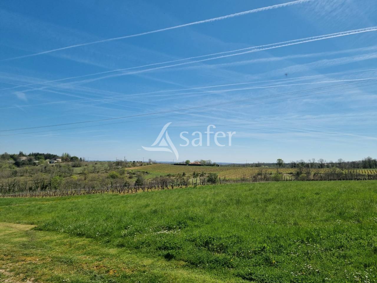 Explotaci&oacute;n vit&iacute;cola / Vi&ntilde;edo En venta Lot