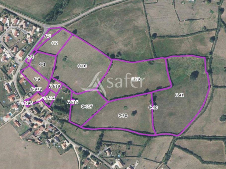 Explotaci&oacute;n agr&iacute;cola En venta Saona y Loira