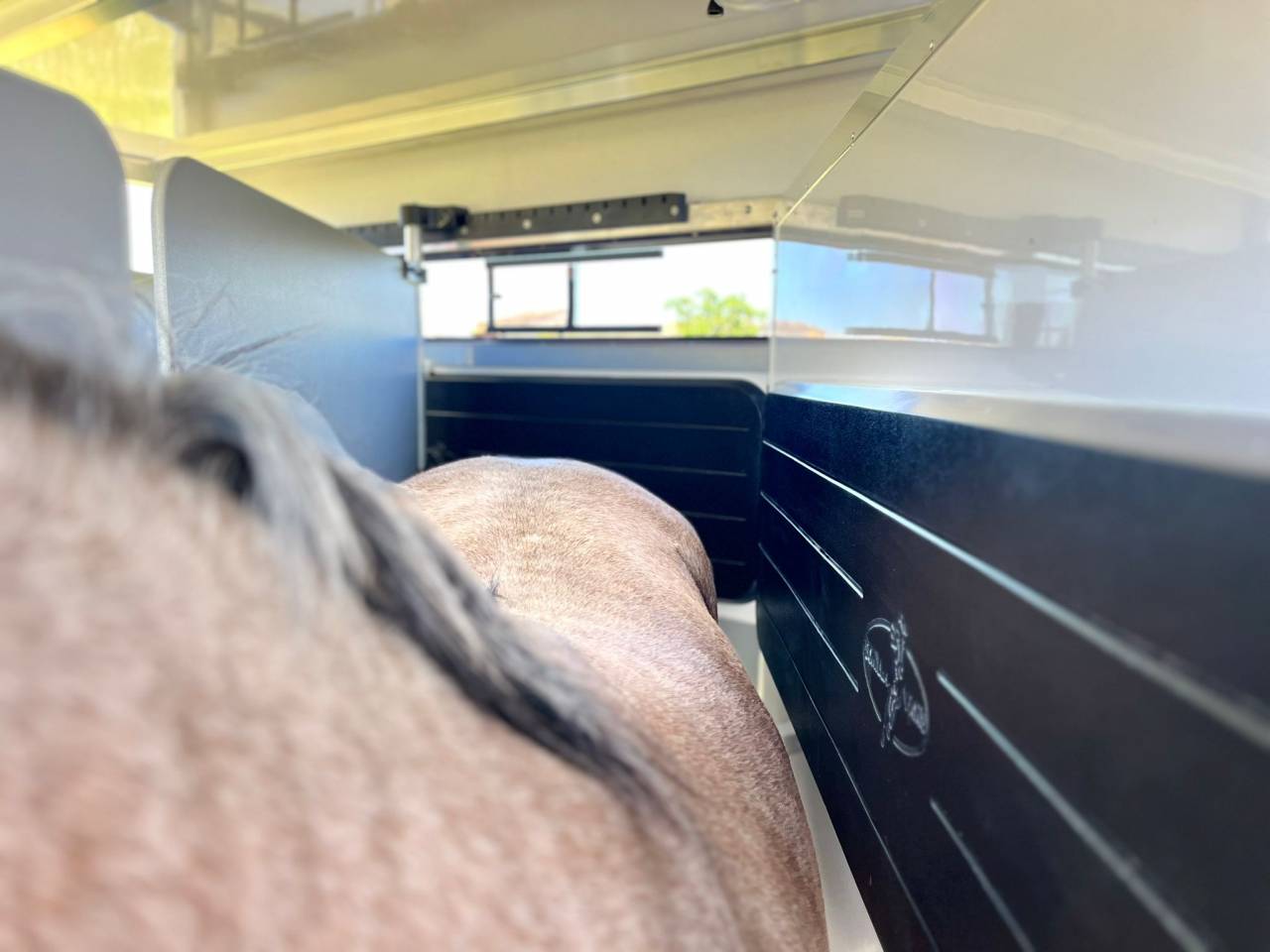 Van caballos Bonilla B6 Diagonal 2 2 Caballos 2026 Nuevo