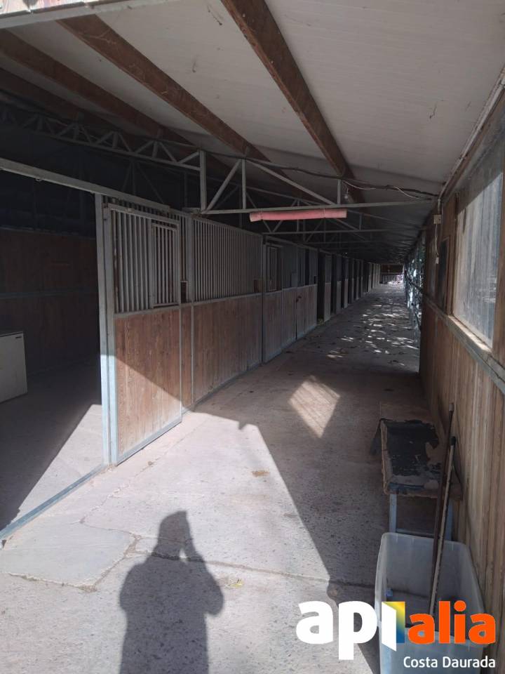 Alquiler h&iacute;pica con 7 hectareas