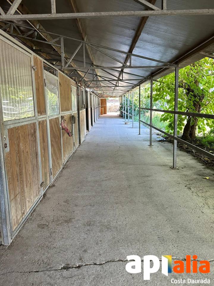 Alquiler h&iacute;pica con 7 hectareas