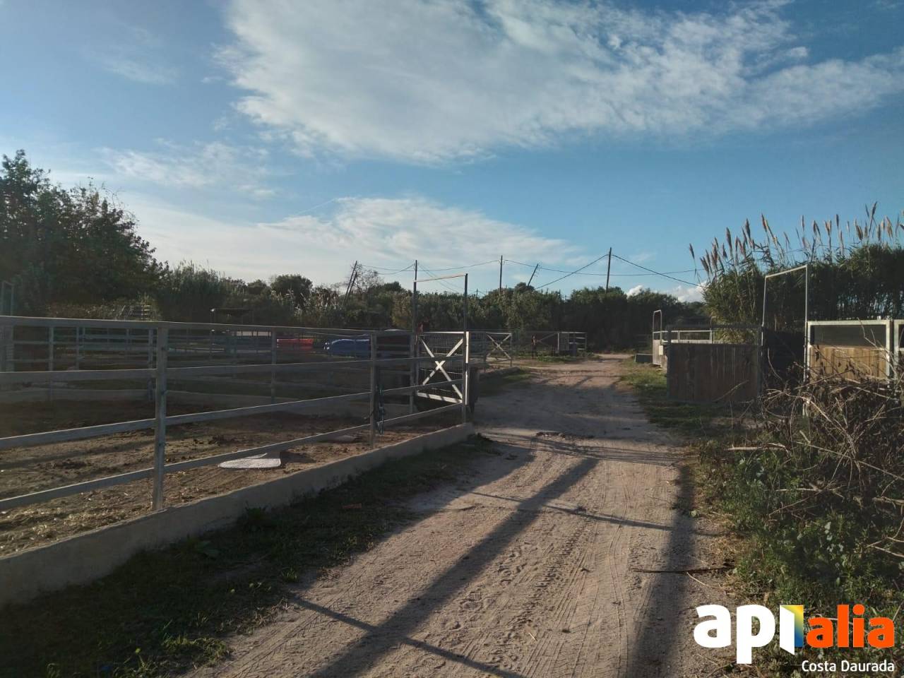 Alquiler h&iacute;pica con 7 hectareas