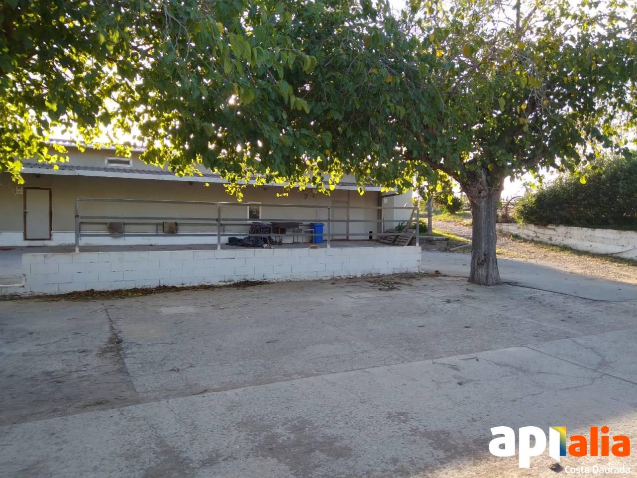 Alquiler h&iacute;pica con 7 hectareas