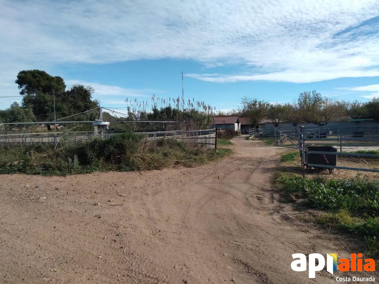 Alquiler h&iacute;pica con 7 hectareas