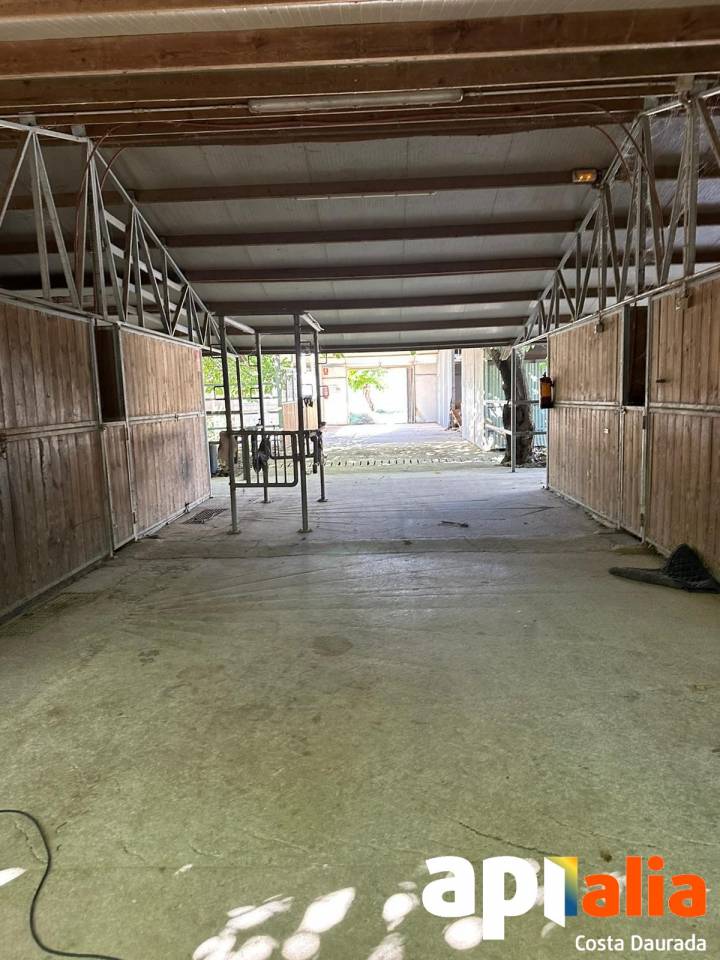 Alquiler h&iacute;pica con 7 hectareas