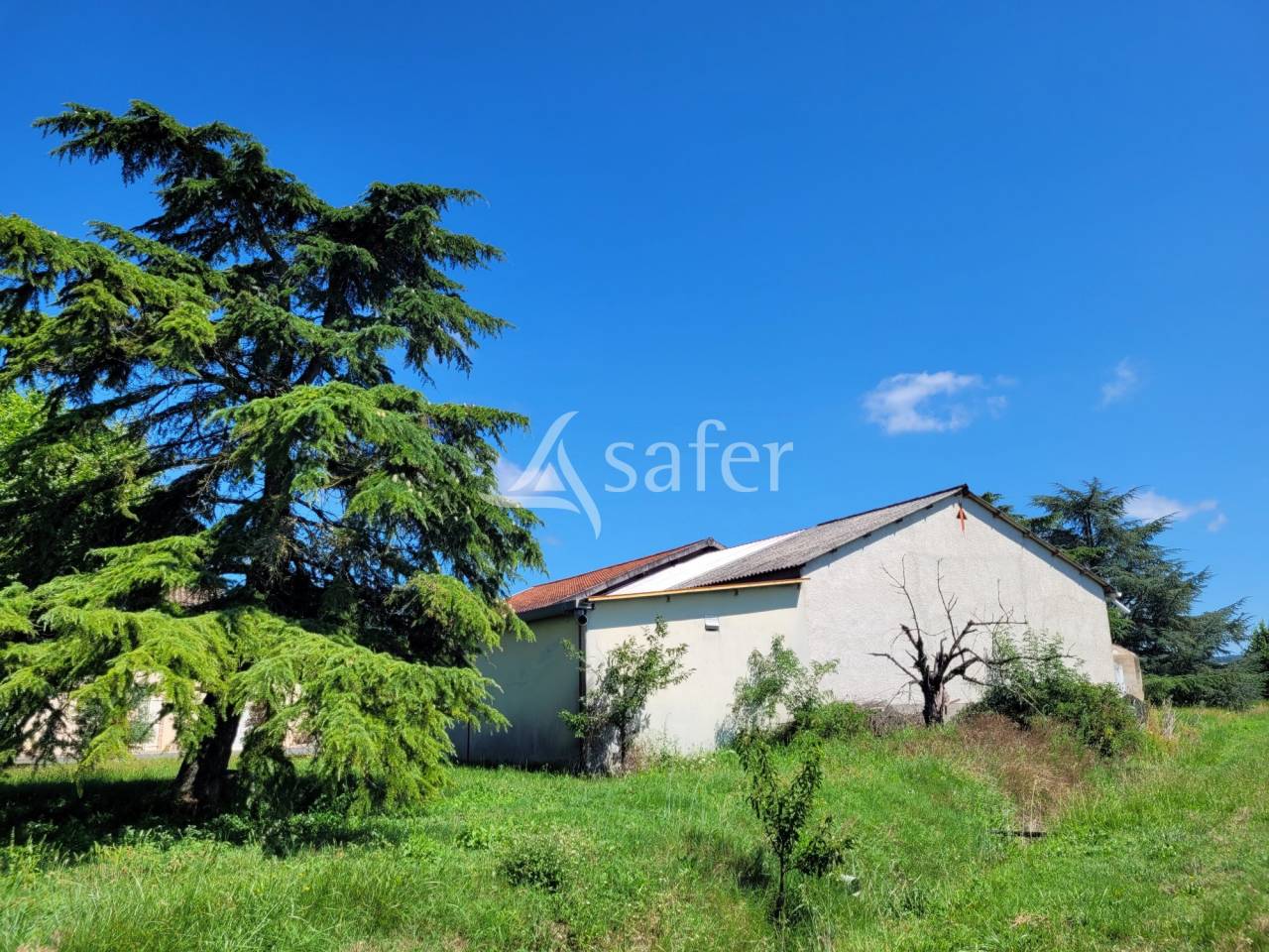 Explotaci&oacute;n cerealista En venta Tarn