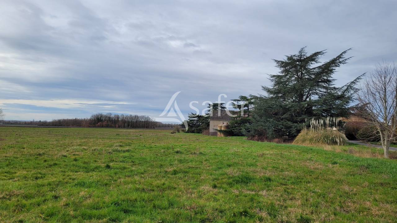 Explotaci&oacute;n cerealista En venta Tarn