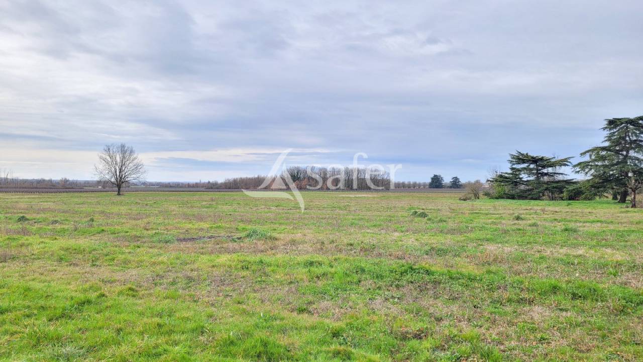 Explotaci&oacute;n cerealista En venta Tarn