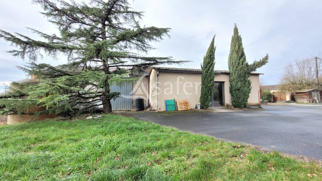 Explotaci&oacute;n cerealista En venta Tarn