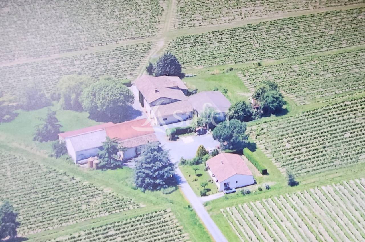 Explotaci&oacute;n cerealista En venta Tarn