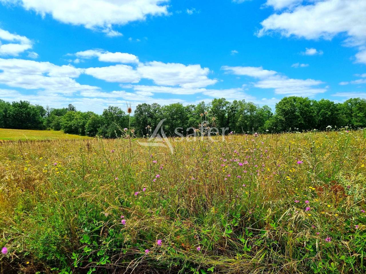 Explotaci&oacute;n agr&iacute;cola En venta Tarn y Garona
