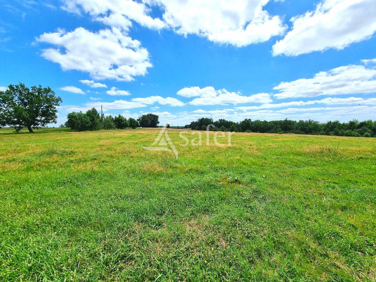 Explotaci&oacute;n agr&iacute;cola En venta Tarn y Garona