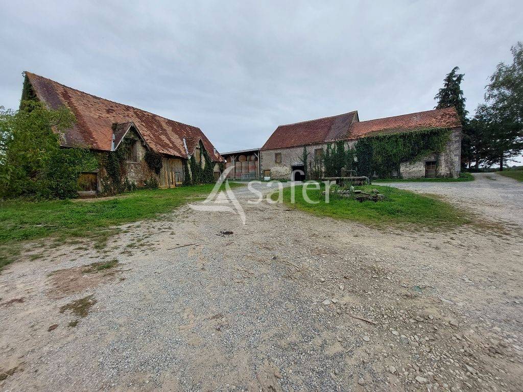 Explotaci&oacute;n ovina En venta Alto Vienne