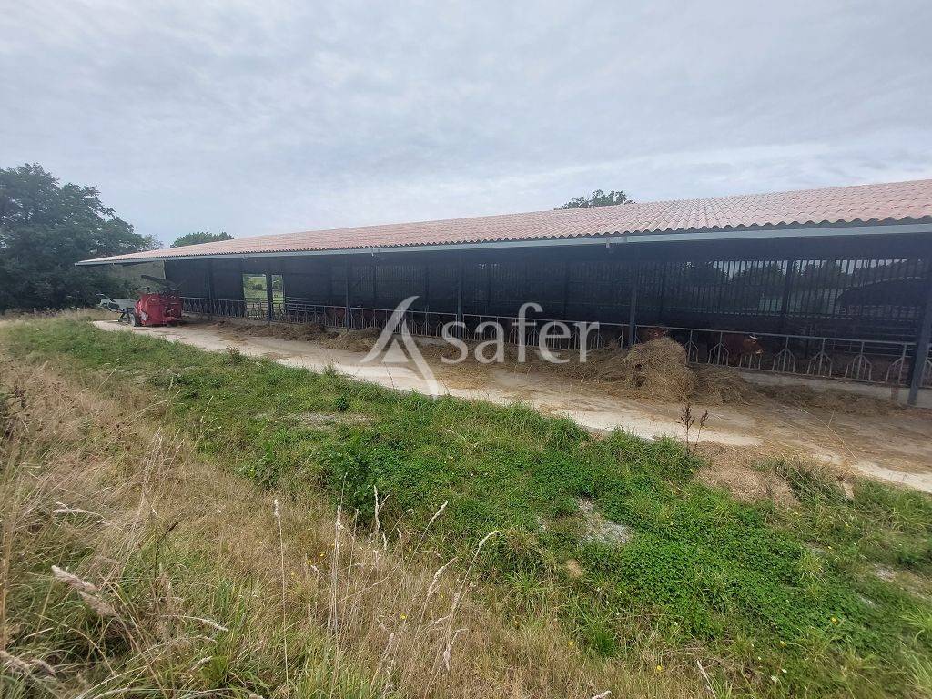 Explotaci&oacute;n ovina En venta Alto Vienne