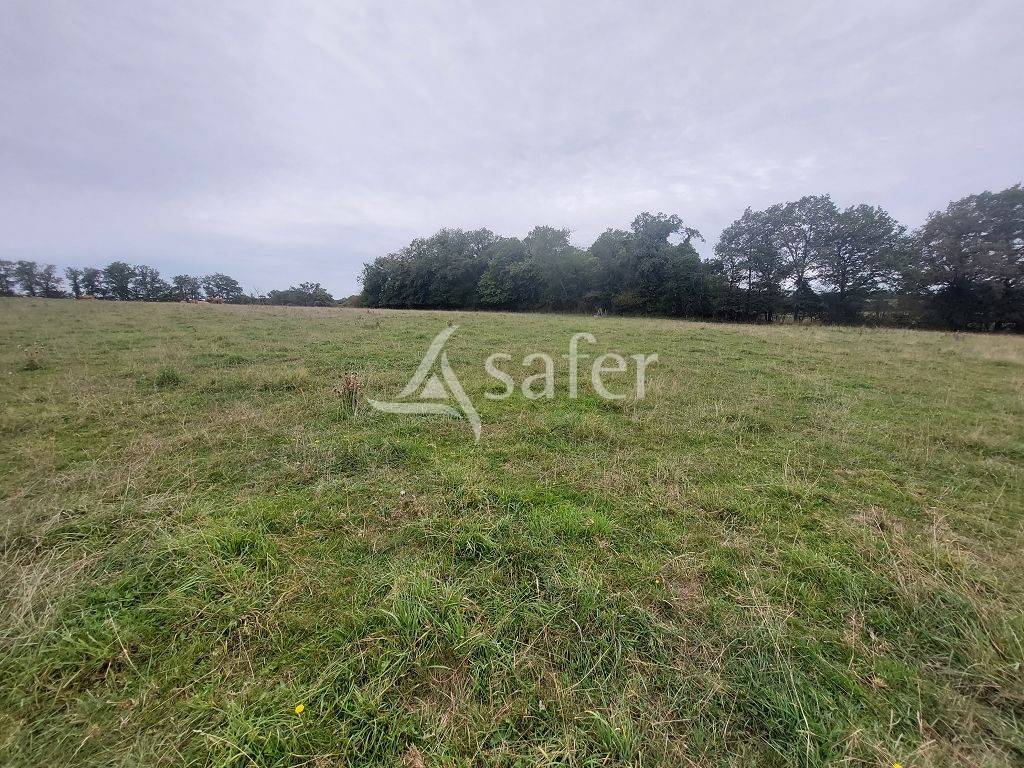 Explotaci&oacute;n ovina En venta Alto Vienne