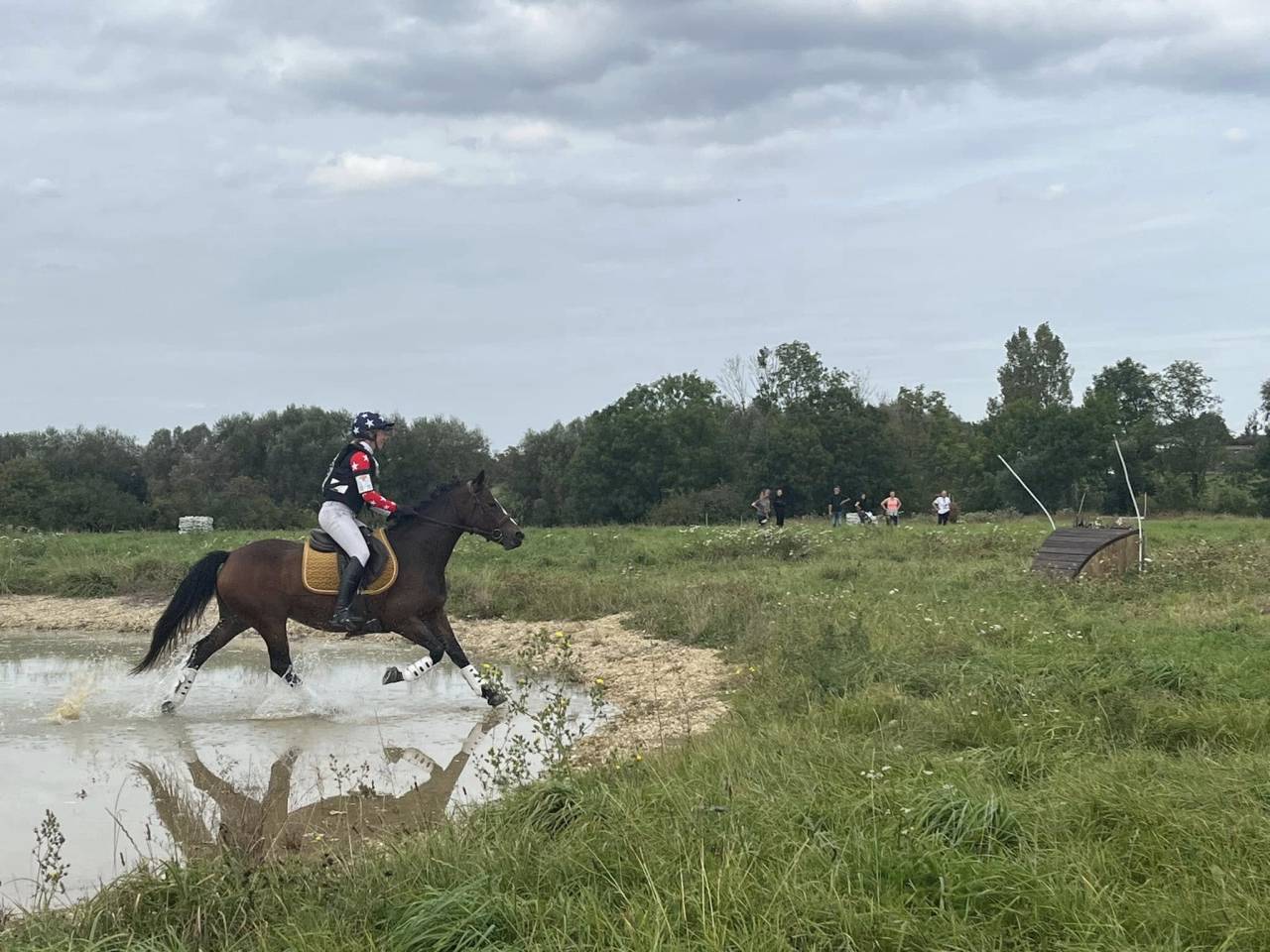 Yegua PFS Poni Fran&ccedil;&eacute;s de Silla En venta 2019 Bayo por Vertigo de Ch&acirc;telain