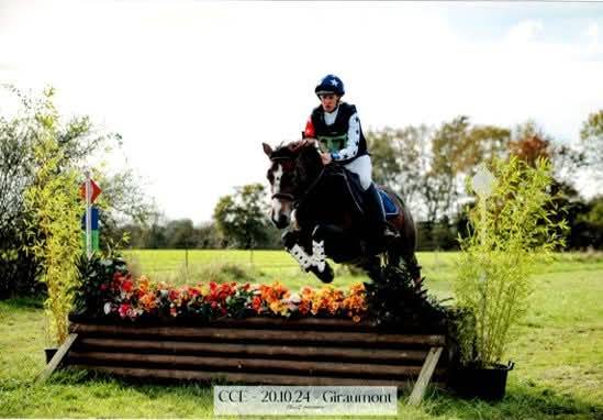 Yegua PFS Poni Fran&ccedil;&eacute;s de Silla En venta 2019 Bayo por Vertigo de Ch&acirc;telain