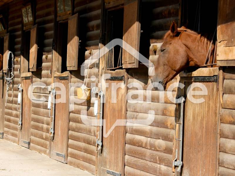 Comercio En venta Bocas del R&oacute;dano