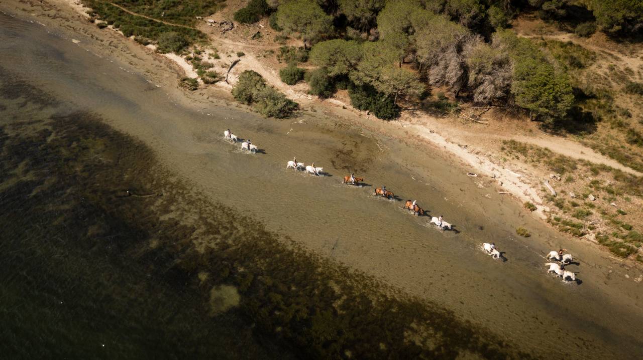 Comercio En venta Bocas del R&oacute;dano