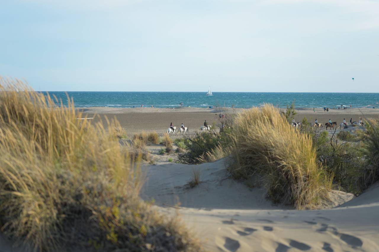 Comercio En venta Bocas del R&oacute;dano