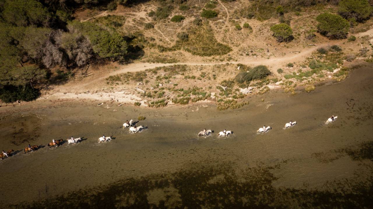 Comercio En venta Bocas del R&oacute;dano