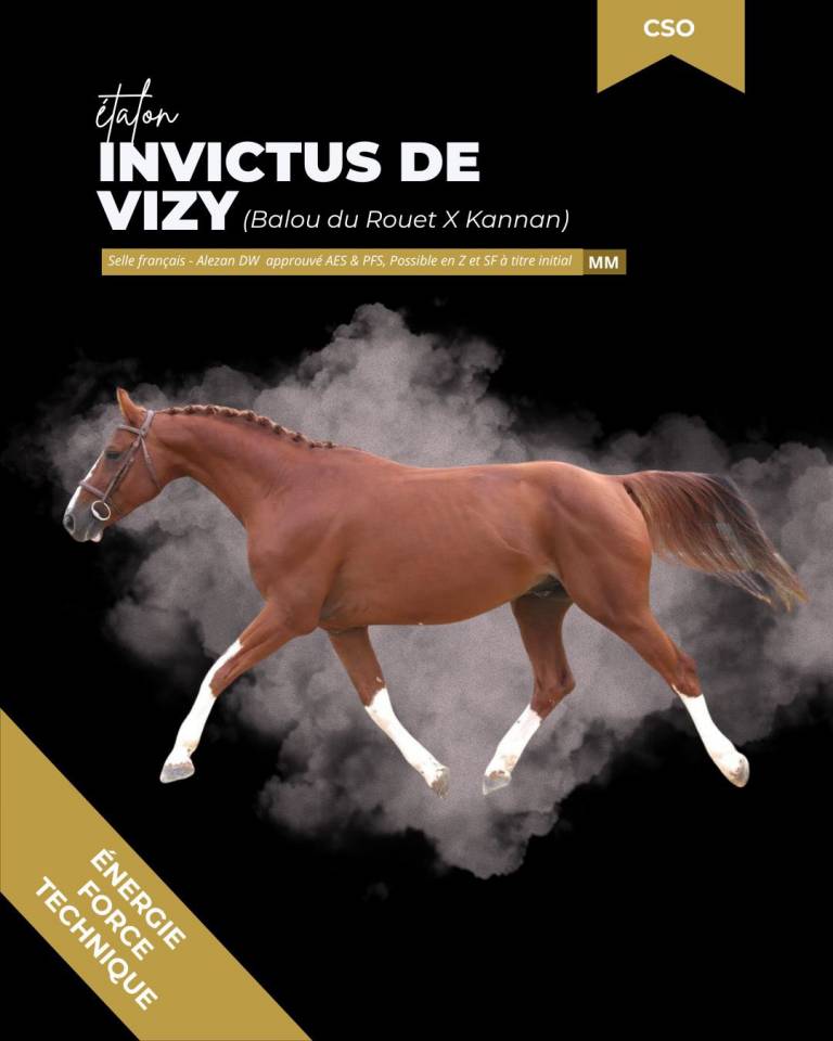 thunder gesmeray zeke don kichot pawnee  - Silla Franc&eacute;s 2010