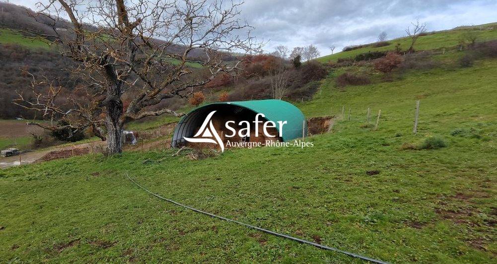 Explotaci&oacute;n agr&iacute;cola En venta R&oacute;dano