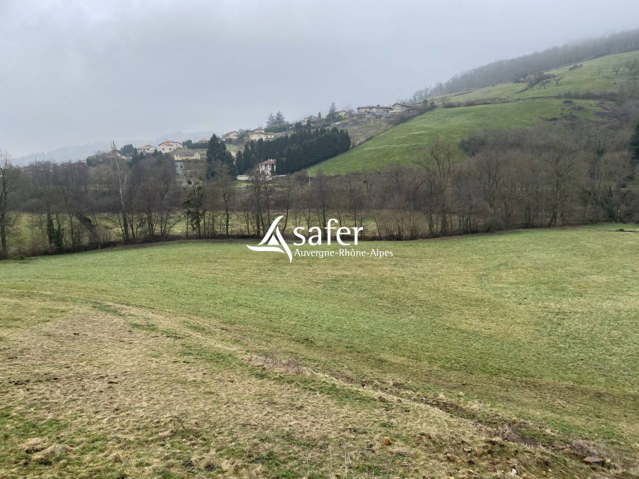 Explotaci&oacute;n agr&iacute;cola En venta R&oacute;dano