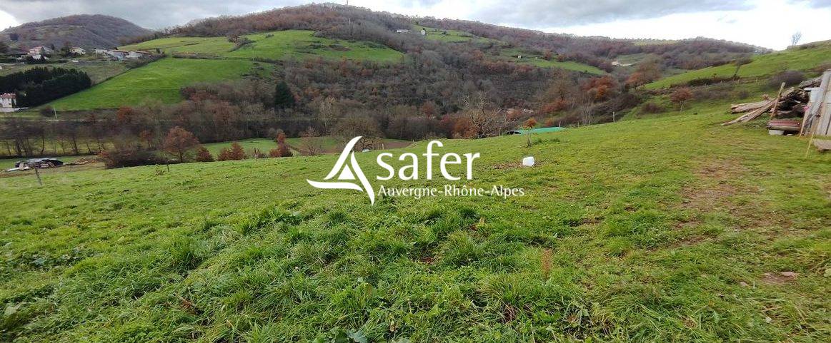 Explotaci&oacute;n agr&iacute;cola En venta R&oacute;dano