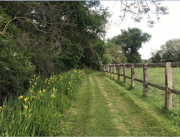 Propiedad ecuestre En venta Calvados