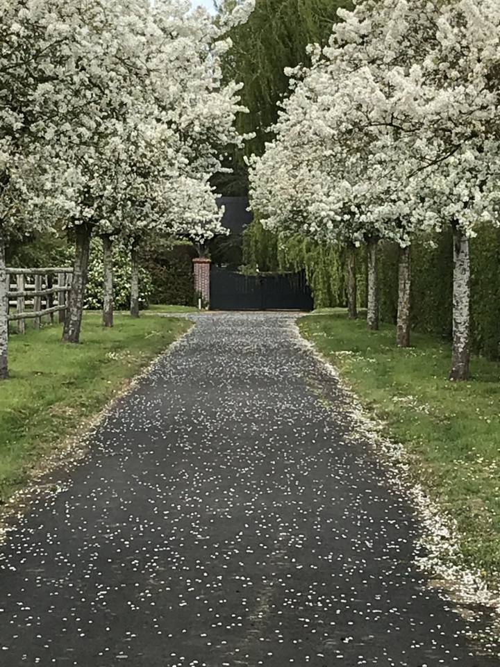 Propiedad ecuestre En venta Calvados