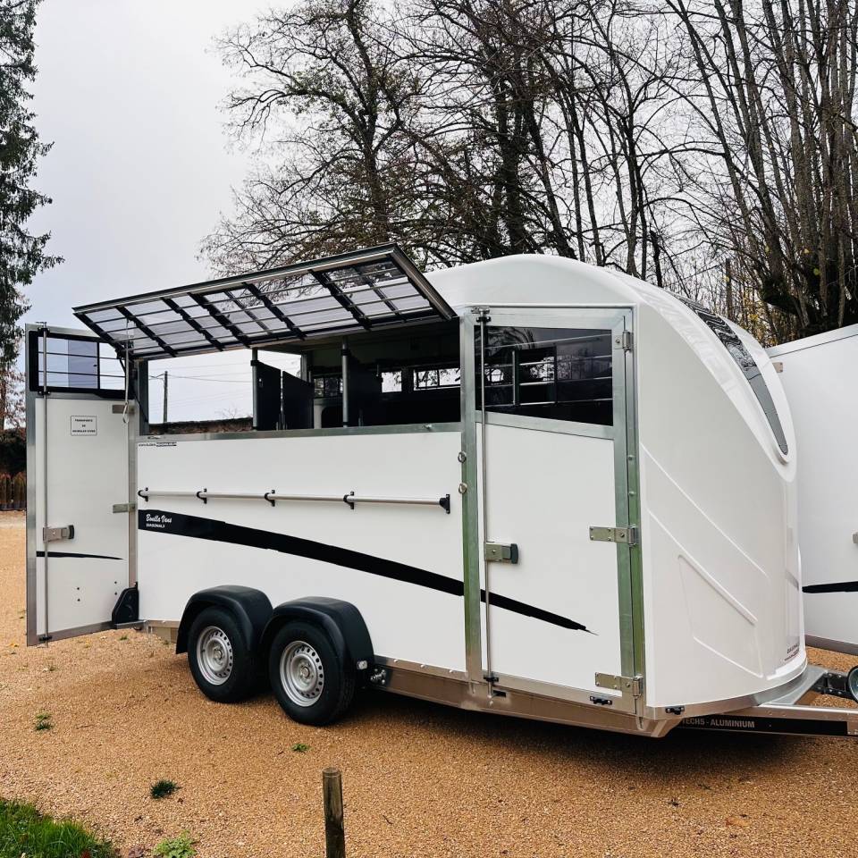 Van caballos Bonilla Diagonal 3 3 Caballos 2026 Nuevo