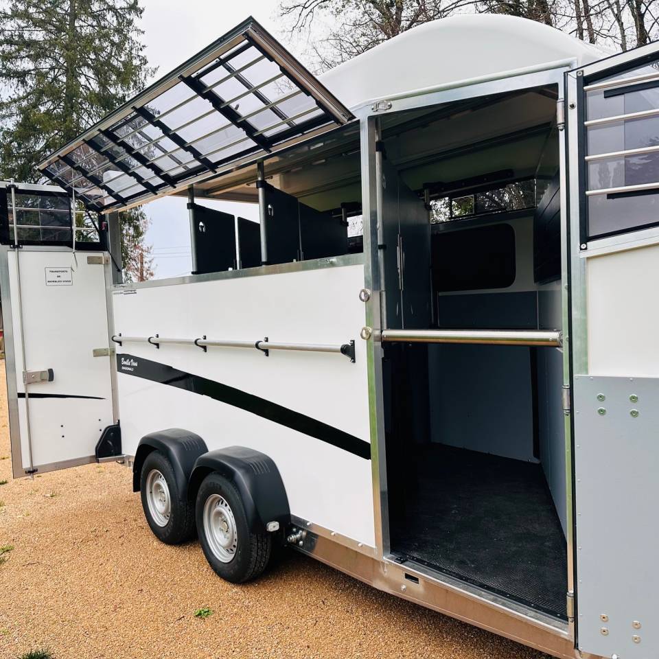 Van caballos Bonilla Diagonal 3 3 Caballos 2026 Nuevo